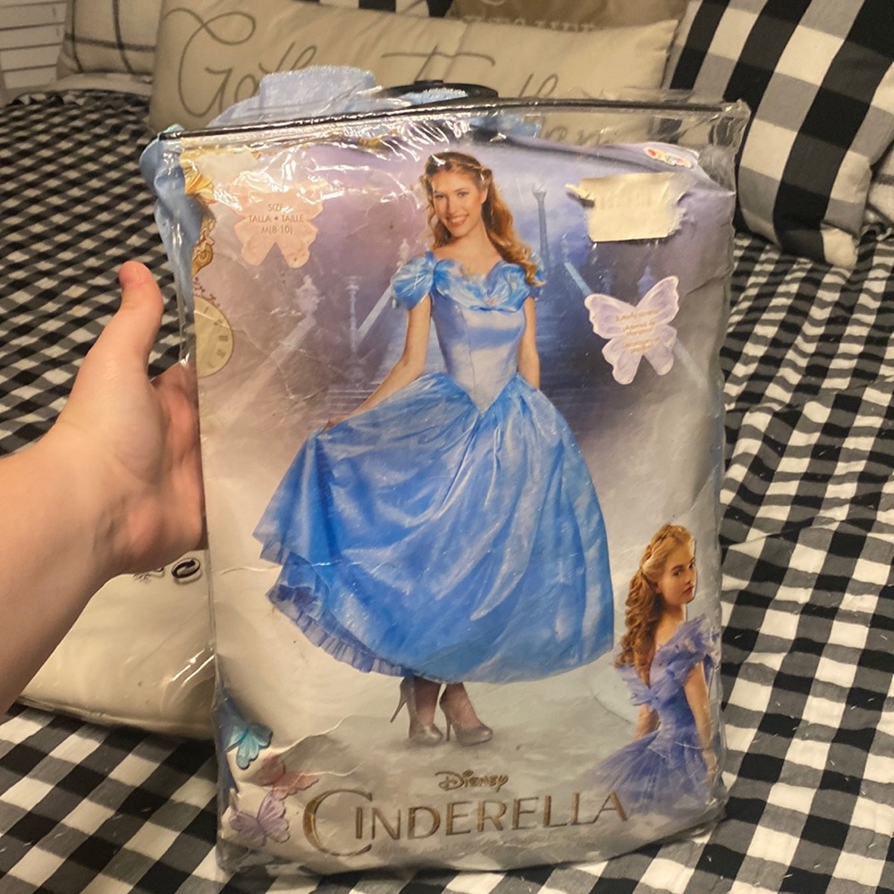 Adult Cinderella Costume Size Medium